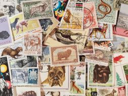 Набор различных марок, Наземные животные (50 шт.)