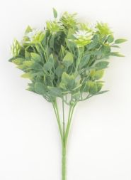 Ветка зелени - СЕСЕН цветы-колючки
