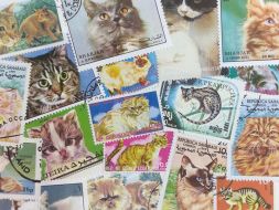 Набор различных марок, Кошки (40 шт.)