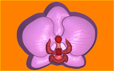 Пластиковая форма - БП 418 - Орхидея