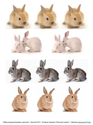 Набор водорастворимых картинок - Кролики №5