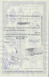 Сертификат на 100 акций The Lehigh Coal and Navigation Company, США (синий)