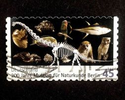 Марка 200-летие музея естественной истории в Берлине, Германия, 2010 год
