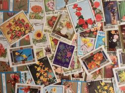 Набор различных марок, Цветы (50 шт.)