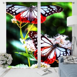 Фотошторы 3D Рай бабочек (блэкаут)